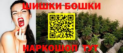 скорость Будённовск