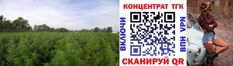 blacksprut рабочий сайт  дарнет шоп  Ялуторовск  Дистиллят ТГК концентрат 