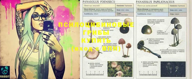 Галлюциногенные грибы Magic Shrooms  omg ONION  Ялуторовск 