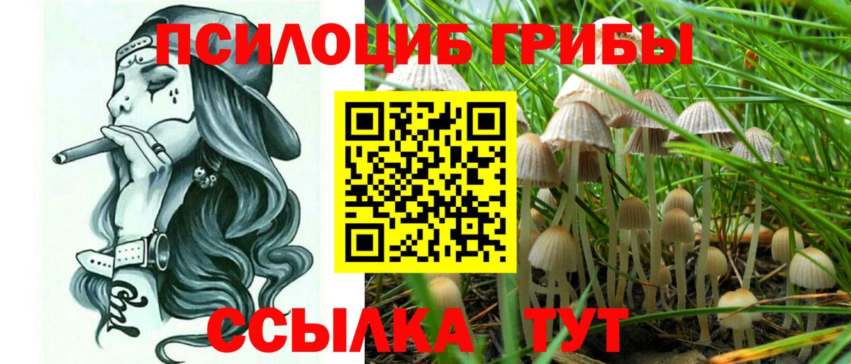 Галлюциногенные грибы мицелий  Псилоцибиновые грибы Magic Shrooms  Ялуторовск  Вход с VPN 