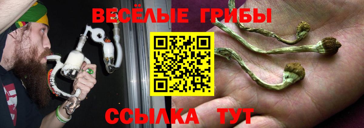 Галлюциногенные грибы GOLDEN TEACHER Ялуторовск